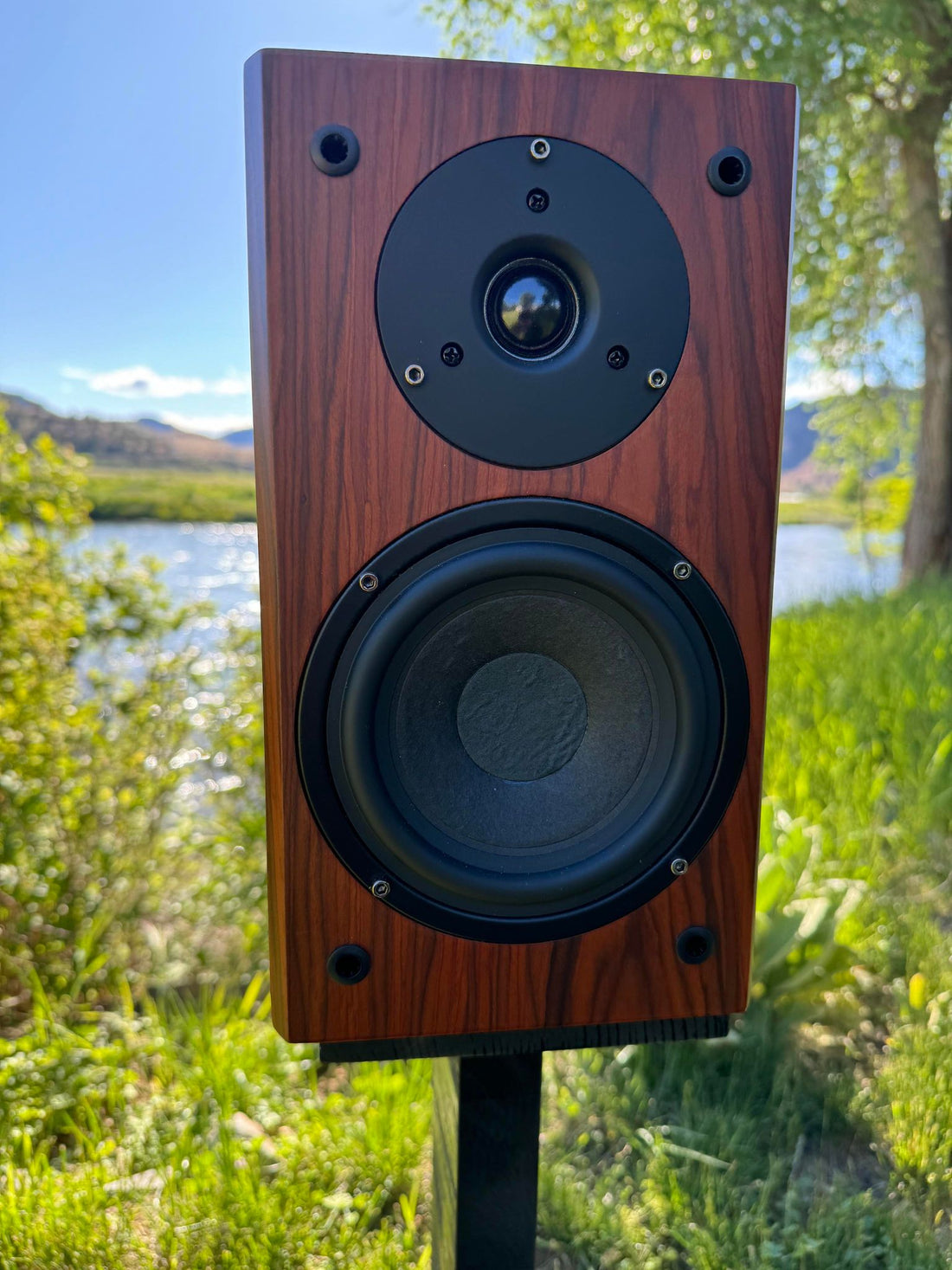 Vera-Fi Audio - Vanguard Scout speaker on stand out in nature 