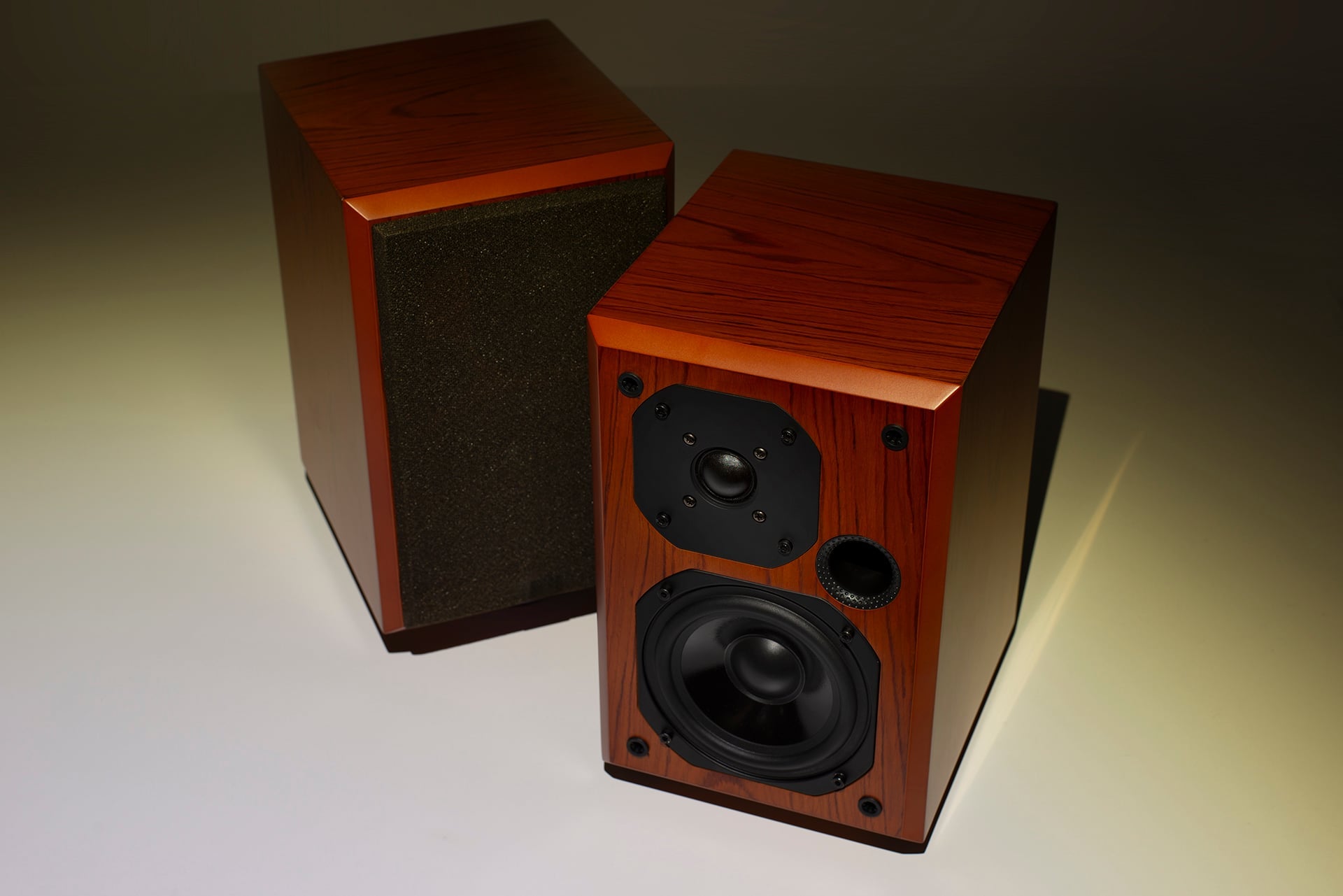 Pair of wooden speakers on a neutral background